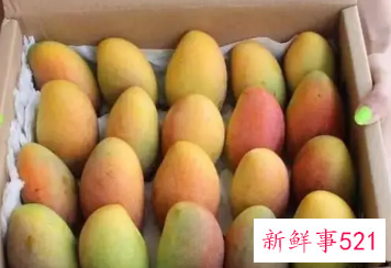 买了一箱芒果怎么保存