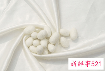 蚕丝被8斤跟5斤哪个好