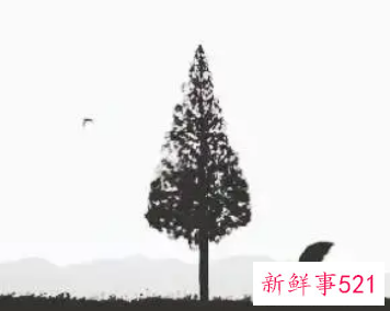 抑郁症听到最暖心的话