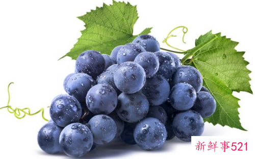 十大抗衰老水果是那些