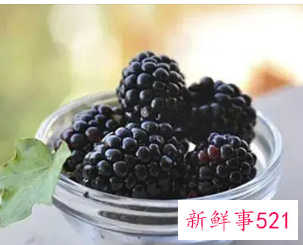 吃桑葚的好处有什么