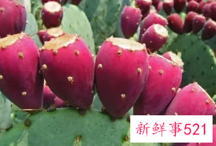 仙人果吃了对人体有什么好处