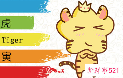 属虎的爱情和婚姻如何