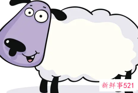 女属羊男属猪适合做夫妻吗