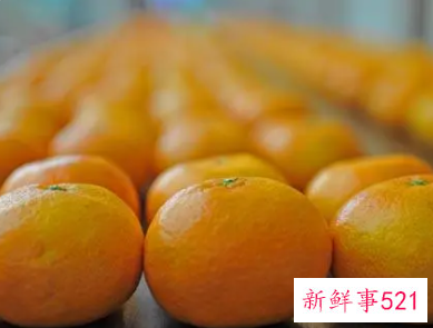 蜜柑的功效与作用禁忌