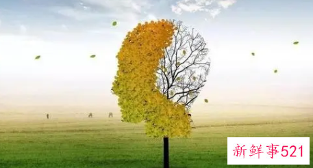 心理学情绪调节