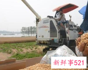 代替米饭的低糖主食