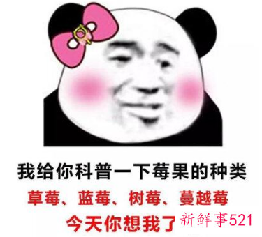 土味情话表情包