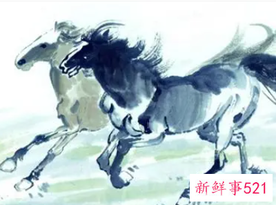 属马的人不能住哪个方向