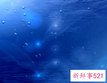 蓝色高雅的叫法