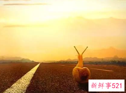 中小学生身心健康