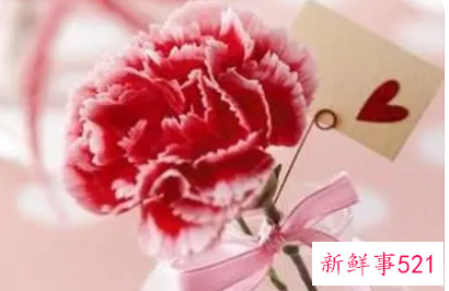 代表妇女的花语