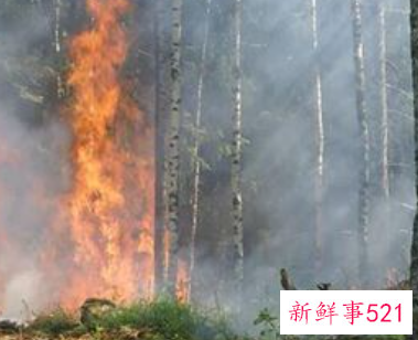 梦见大火烧山有什么征兆
