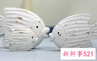 家里养鱼有什么注意的