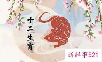 情商高的生肖女