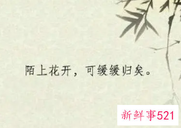 暖人心的情话短句八个字