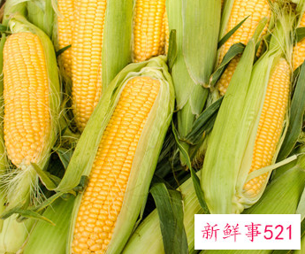 玉米须正确泡水喝