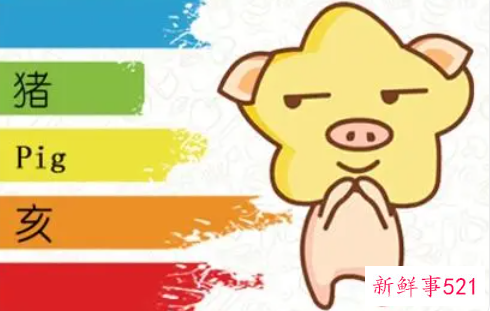 女属羊男属猪适合做夫妻吗