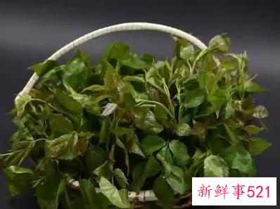 泡苦菜茶有哪些好处