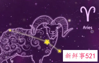 像狐狸一样狡猾的星座女