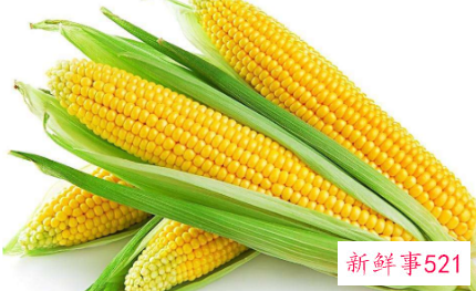 代替米饭的低糖主食