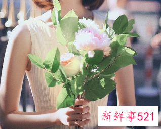 哪几个星座女是小仙女