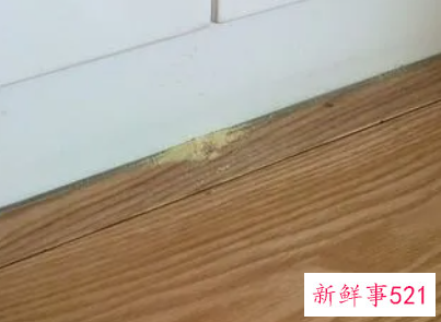 家里木家具生虫怎么办