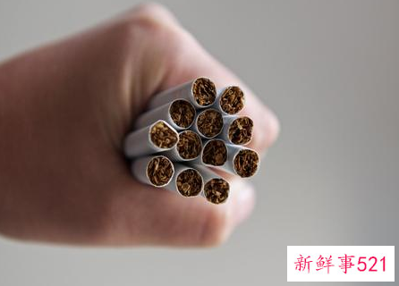 养肾护肾的方法