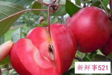 小孩吃苹果有什么好处和坏处