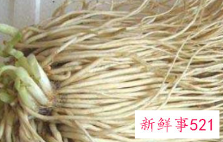 韭菜根的药用功效与作用