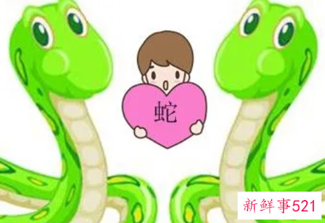 77年属蛇男人最佳妻子