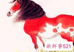 90年属马的女人戴什么招财