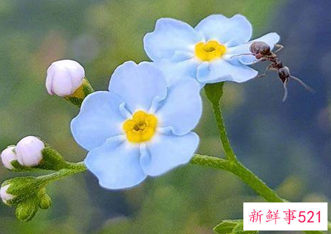 特别暖心的早安句子