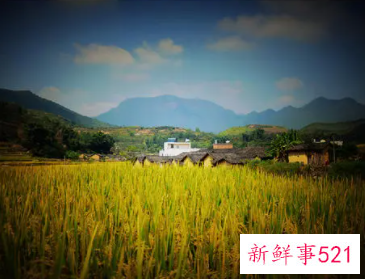 家乡的秋天800字作文