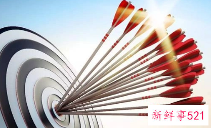 工作目标与展望怎么写