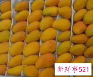 买了一箱芒果怎么保存