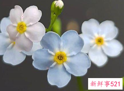 特别暖心的早安句子