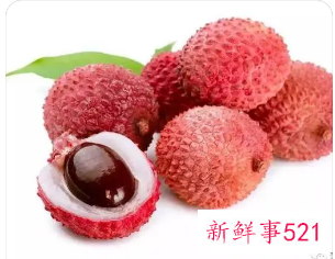 荔枝盐核的功效与作用荔枝盐核的药用价值