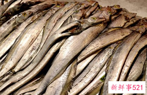 做梦梦见带鱼是怎么回事