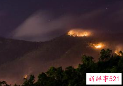 梦见大火烧山有什么征兆