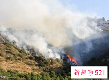 梦见大火烧山有什么征兆