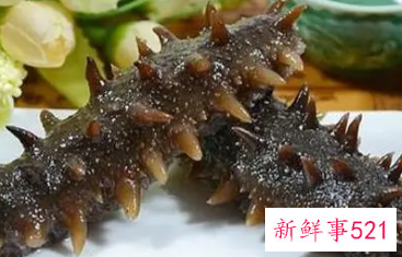 海参怎么吃好