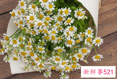 洋甘菊护肤品究竟有哪一些