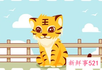 属虎本命年要佩戴什么