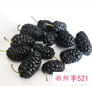 吃桑葚的好处有什么