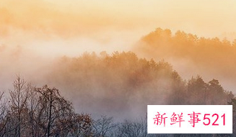 梦见红绳代表什么