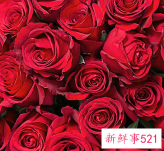 代表妇女的花语