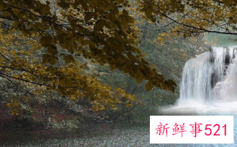 清明节不能买鞋吗