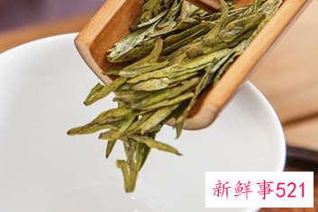 茶到底怎么泡