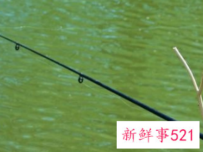 野钓用几米的鱼竿好